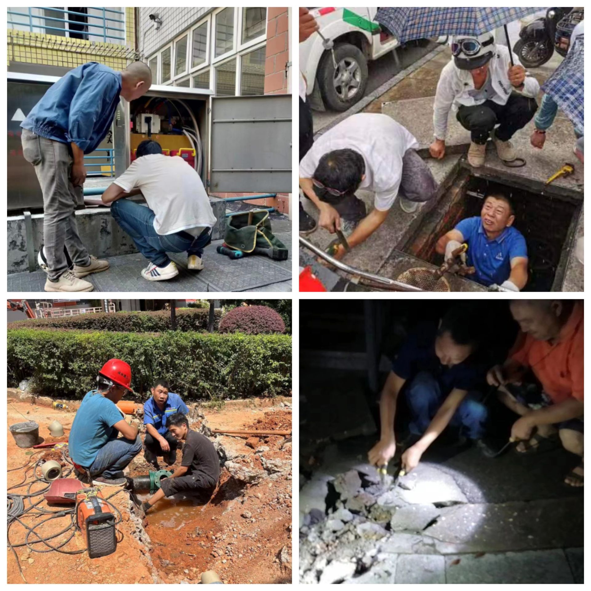 William威廉官网